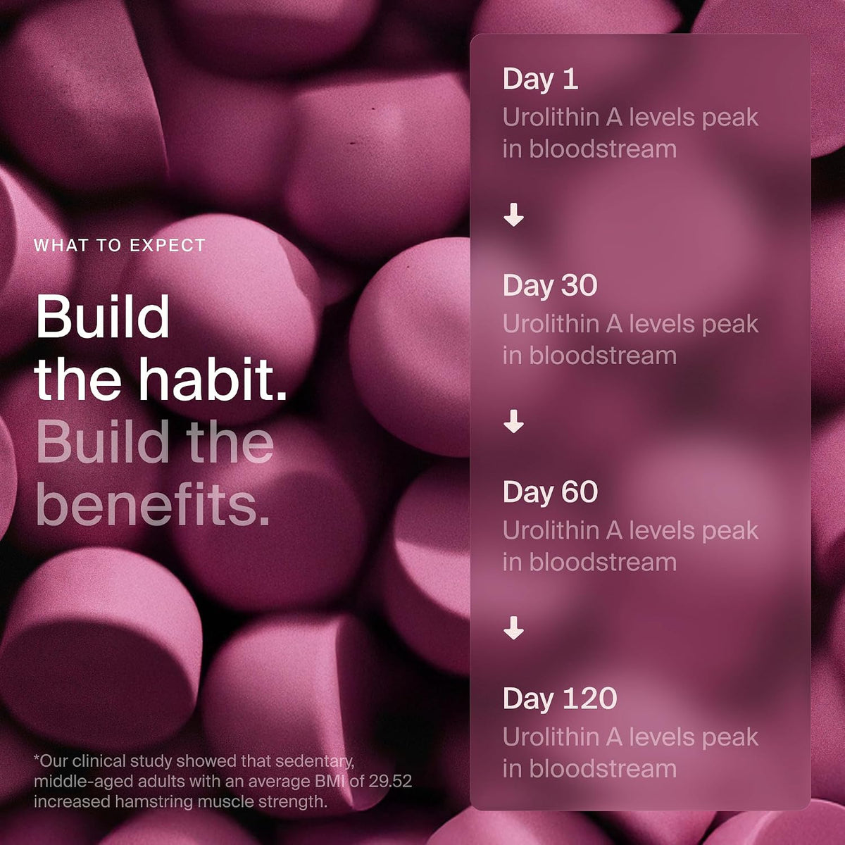 Mitopure Gummies